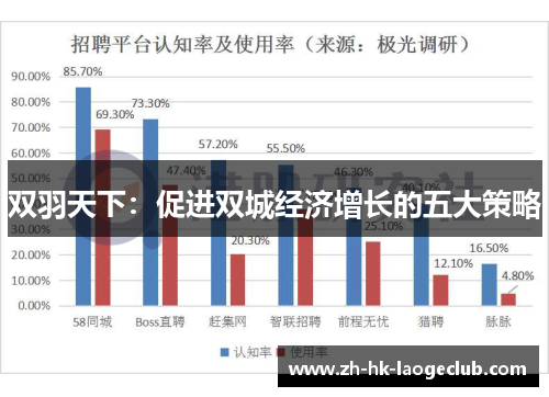 双羽天下：促进双城经济增长的五大策略