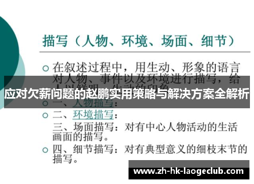 应对欠薪问题的赵鹏实用策略与解决方案全解析
