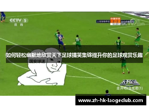 如何轻松幽默地欣赏天下足球搞笑集锦提升你的足球观赏乐趣