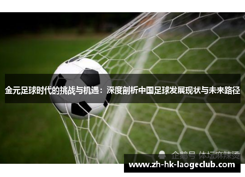 金元足球时代的挑战与机遇：深度剖析中国足球发展现状与未来路径