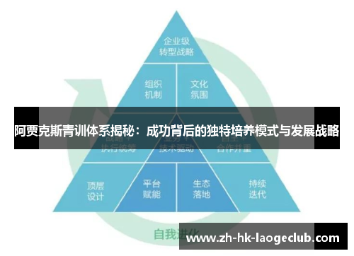 阿贾克斯青训体系揭秘：成功背后的独特培养模式与发展战略